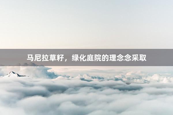 马尼拉草籽，绿化庭院的理念念采取